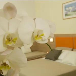 https://hotel-consuelo.riccione-hotels.org